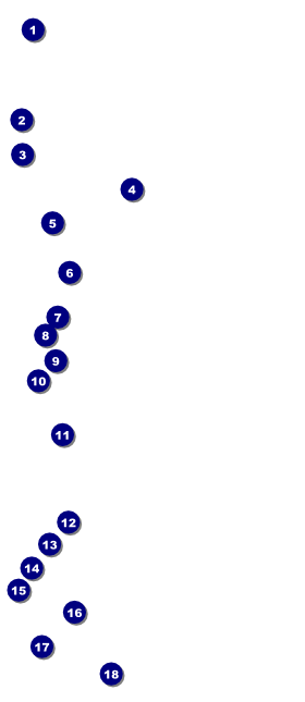 Lymphoma VIP Pass Front Field Markers
