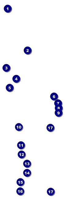 Royal Raffle Ticket Front Field Markers