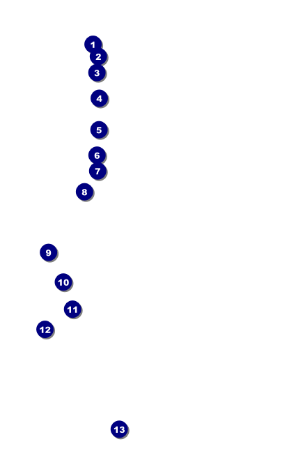 Day of the Dead Drink Ticket Front Field Markers