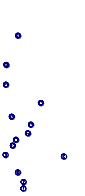 Steak & Beer VIP Pass Front Field Markers