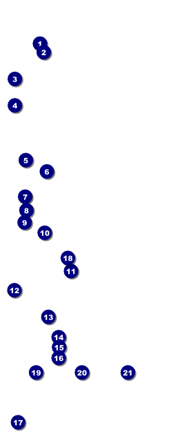Blue Jeans VIP Pass Front Field Markers