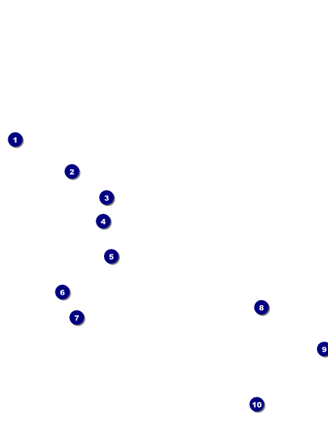 Graduation Flyer Front Field Markers