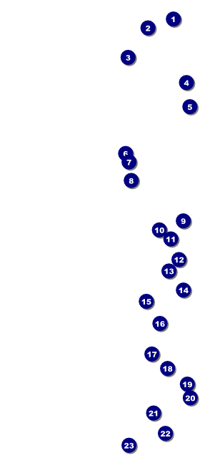 Red VIP Pass Front Field Markers