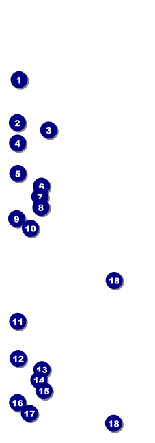 Pig Roast Event Ticket Front Field Markers
