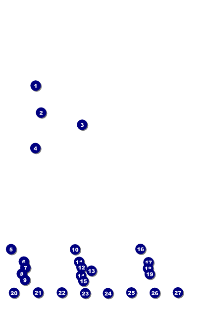 Pig Roast Logo Poster Front Field Markers