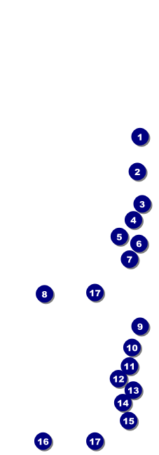 Mexican Flag Event Ticket Front Field Markers