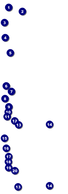 Murder Mystery Event Ticket Front Field Markers