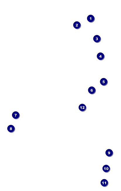 Women's Expo Abstract VIP Event Badge Medium Front Field Markers