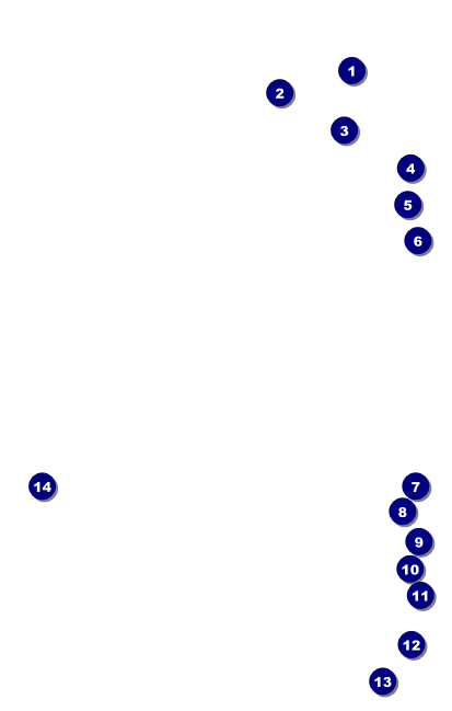 Diabetes VIP Event Badge Medium Front Field Markers