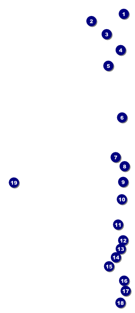 St. Patrick's Day Party VIP Event Badge Large Front Field Markers