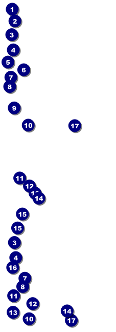 Carnival Monkey Reserved Event Ticket Front Field Markers