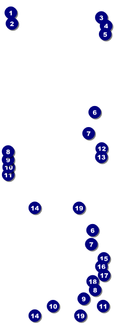 Anime Reserved Event Ticket Front Field Markers