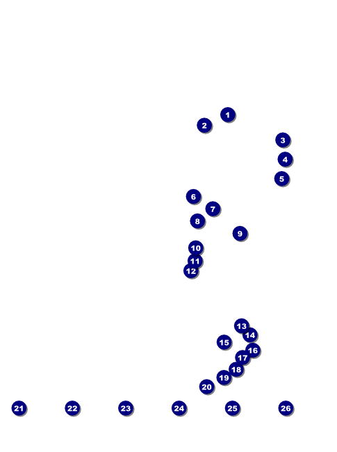 California Flyer (Gray and Blue) Front Field Markers