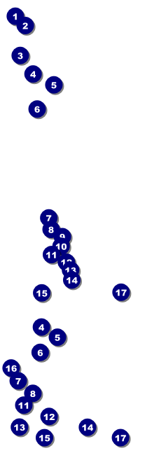 Cityscape Reserved Event Ticket Front Field Markers