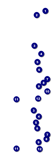 All Purpose Skyline Black and White Event Ticket Front Field Markers