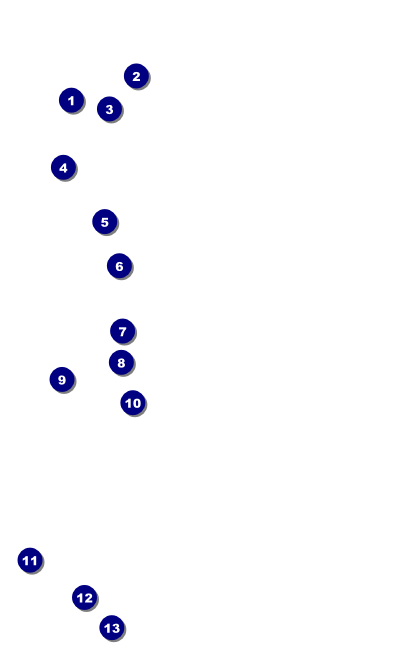 German VIP Event Badge Medium Front Field Markers