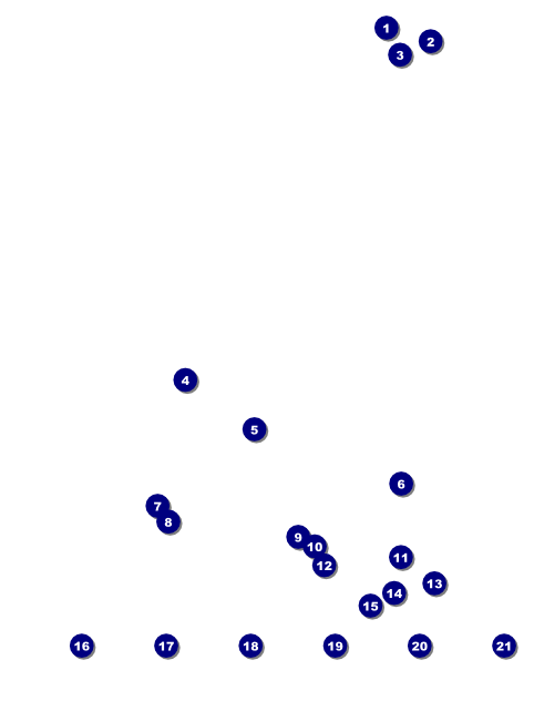 Chinese New Year Flyer With Place Holder Image Front Field Markers