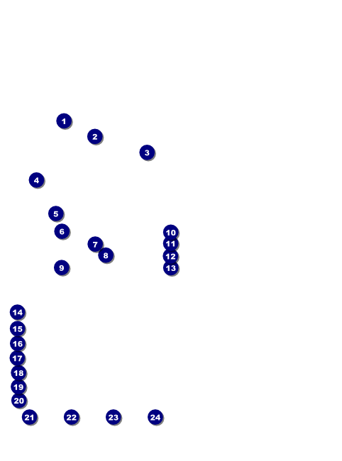 Dance Recital Flyer Front Field Markers