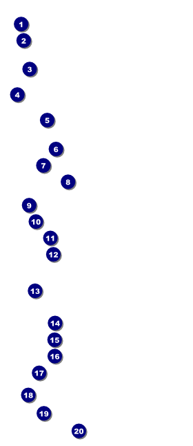 Nature Series - Blue Ocean VIP Pass Front Field Markers