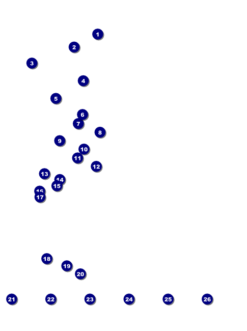 Dallas Flyer (Black and White) Front Field Markers