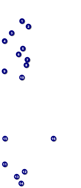 Kansas City VIP Event Badge Large Front Field Markers