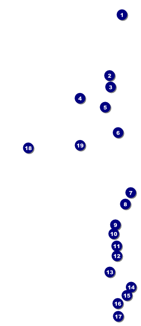 Leukemia VIP Event Badge Large Front Field Markers