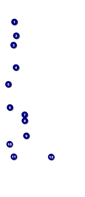 LGBT Film Festival VIP Event Badge Large Front Field Markers