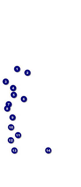 Military Ball - The Salute VIP Event Badge Large Front Field Markers