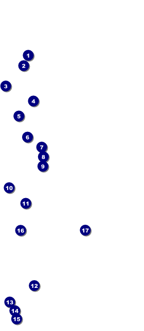 Red, White, and Blue Stars Economy Event Badge VIP Event Badge Large Front Field Markers