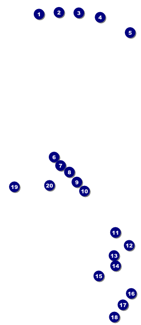 Retro Colors VIP Event Badge Large Front Field Markers