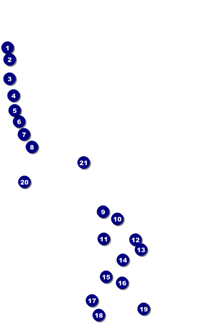 Rock Concert Pink  VIP Event Badge Medium Front Field Markers