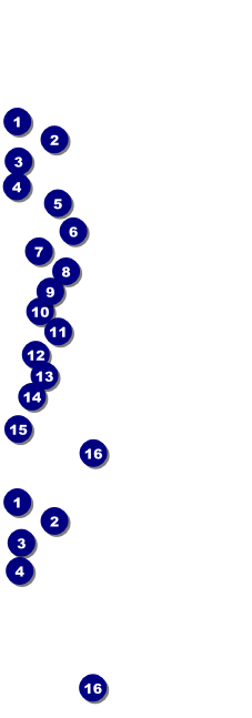 Montana General Admission Front Field Markers