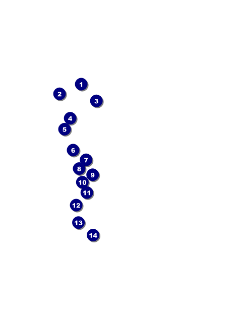 Bar Mitzvah Teal & Green Invitation Front Field Markers