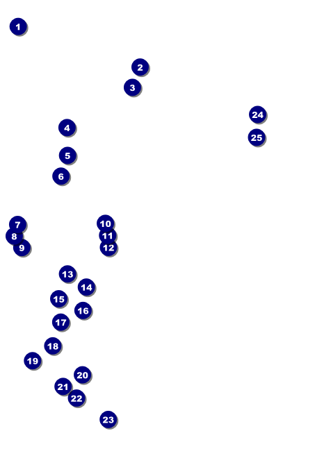 Fourth of July Hometown Invitation Front Field Markers