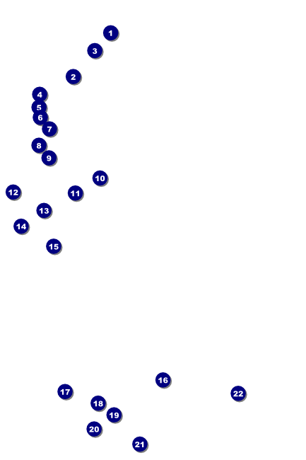 Winter Festival Poster Front Field Markers