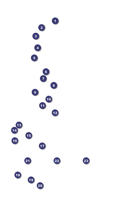 Stars and Stripes Poster 002 Front Field Markers