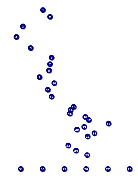 Mask Flyer with Image Upload Front Field Markers