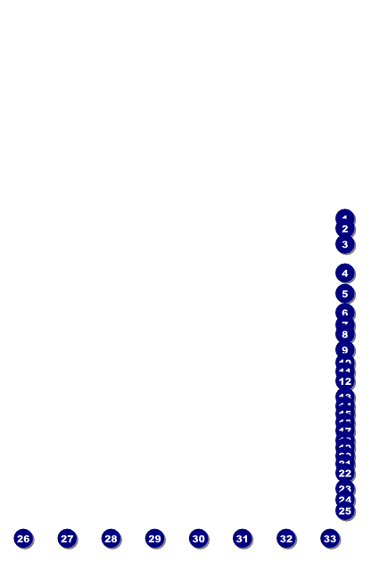 Detroit BW Poster with Image Upload Front Field Markers