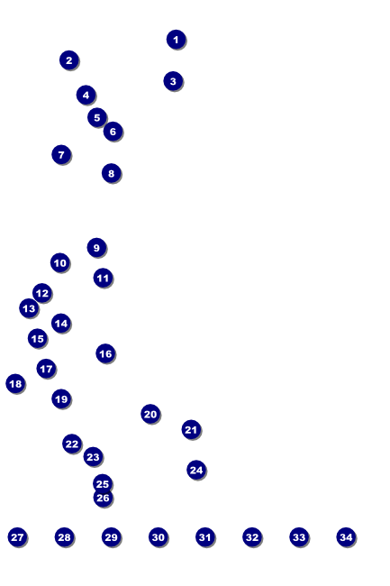 Dance Circles Logo Poster Front Field Markers