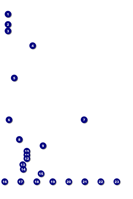 Austin Star Logo Poster Front Field Markers