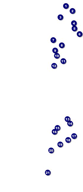 Rhode Island VIP Pass Front Field Markers