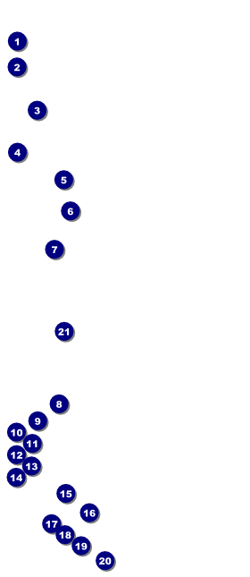 Gold Glitter VIP Pass Front Field Markers