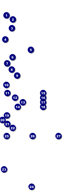 Galaxy Hip Hop Black and White VIP Pass Front Field Markers