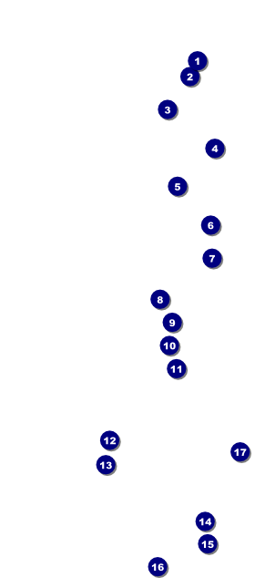 Beer Festival VIP Pass Front Field Markers
