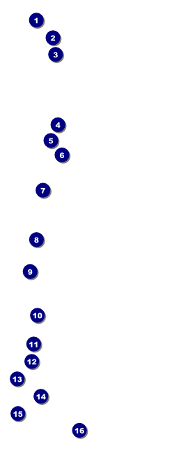 Fourth of July Freedom Blue VIP Pass Front Field Markers