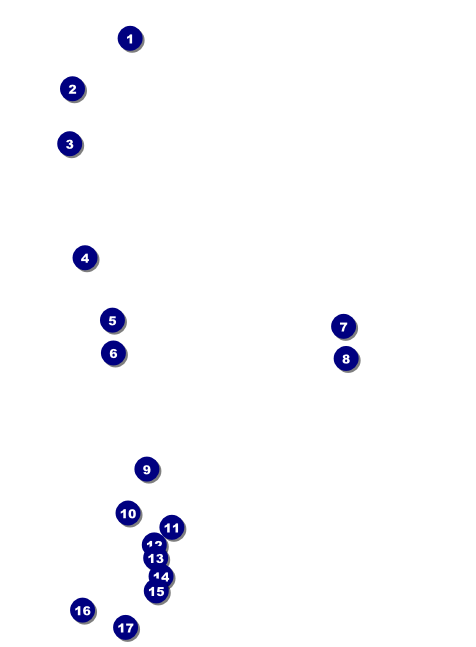 Carnival Monkey Invitation Front Field Markers