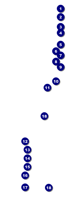 Archery Raffle Ticket Front Field Markers