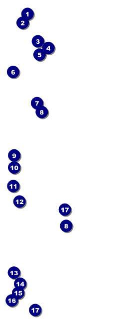 Fire Department Event Ticket Front Field Markers