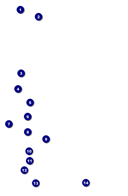 Midsummer Night's Dream Drink Ticket Front Field Markers
