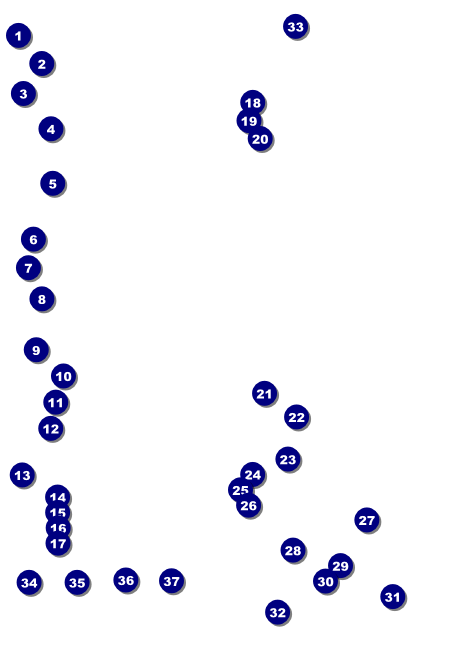 Run for a Cause Orange Club Flyer Front Field Markers